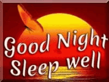 Good Night Sleep Well GIF - Good Night Sleep Well Sunset GIFs