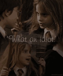 What An Idiot Harry Potter GIF - What An Idiot Harry Potter Hermione Granger GIFs
