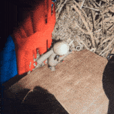 a stuffed animal is sitting on a table next to a red curtain