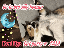 a calico cat is laying on its back on a couch with the words reality cat party @zam below it