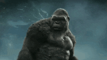 Godzilla X Kong The New Empire Gxk GIF