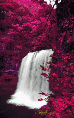 Waterfall GIF - Waterfall - Discover & Share GIFs Waterfall GIF - Waterfall - Discover & Share GIFs