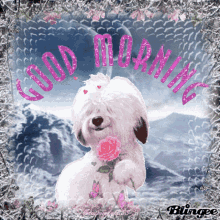 Good Morning Dog GIF - Good Morning Dog Smile GIFs