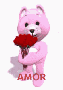 amor love for you flowers roses