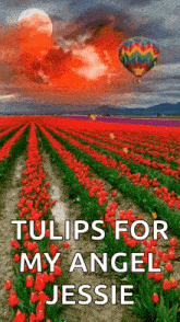 Tulips Hot Air Balloon GIF - Tulips Hot Air Balloon GIFs