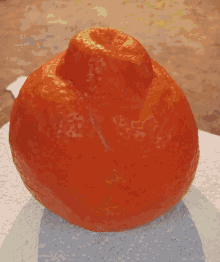 Orange Peel Orange GIF - Orange Peel Orange Peel GIFs