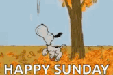 a cartoon of snoopy running in a field with the words happy sunday .