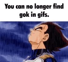 Gok Goku GIF - Gok Goku Dragon Ball Z GIFs