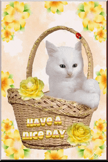 Have A Nice Day Good Day GIF - Have A Nice Day Good Day Bonjour GIFs