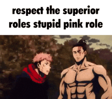Pink Role Superior GIF - Pink Role Superior Stupid GIFs