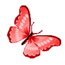 borboletas butterflies butterfly beautiful flying