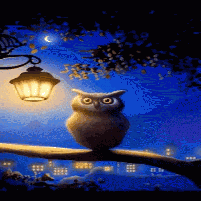 Good Night Owl GIF - Good Night Owl - Descubre y comparte GIF