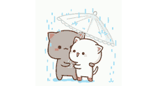 Umbrella Kawaii GIF - Umbrella Kawaii Kawaii Cat GIFs