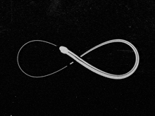 a black background with a white infinity symbol on it