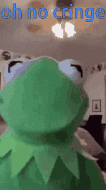 Cringe Kermit GIF - Cringe Kermit Kermit The Frog GIFs