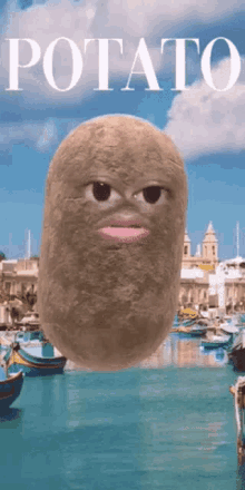 Potato Ugly GIF - Potato Ugly Confused GIFs