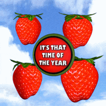 That Time Of Year Strawberry GIF - That Time Of Year Strawberry Strawberries GIFs