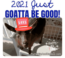 Goats Cutest GIF - Goats Cutest 2021 GIFs