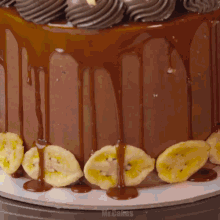 a close up of a chocolate cake with banana slices on it