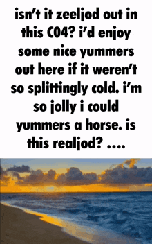 a picture of a beach with a quote that says isn 't it zeeloid out in this c04