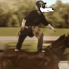 Dogggotoken Horse Rider Dogggo GIF - Dogggotoken Dogggo Horse Rider Dogggo GIFs