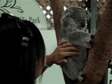 Tickle GIF - Tickle Koala Cute GIFs