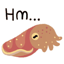 hm thinking unsure wondering cephalopod