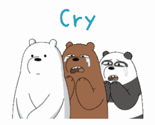 we bare bears cry tears friends sad