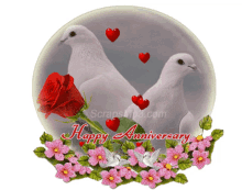 anniversary doves