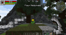 a screenshot of a minecraft game with fleur medicinale on the screen