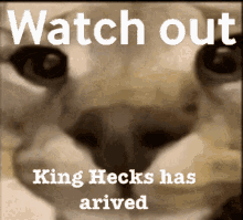 Kinghecks Watch GIF - Kinghecks Watch Out GIFs