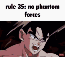 bruv rules rule35 no phantom forces