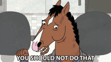 You Should Not Do That Will Arnett GIF - You Should Not Do That Will Arnett Bojack Horseman GIFs