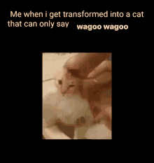 Wagoo Wagoo Wagoo GIF - Wagoo Wagoo Wagoo Chargif GIFs