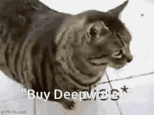 Deepwoken Buy Deepwoken GIF - Deepwoken Buy Deepwoken Play Deepwoken GIFs