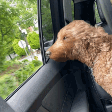Subslimer Dog Dog GIF - Subslimer Dog Dog Happy Dog GIFs