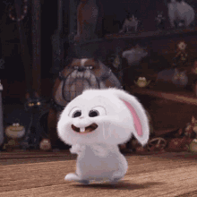Bunny Rofl GIF - Bunny Rofl Bunny Laughing GIFs