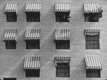 Keaton Window GIF - Keaton Window Climb GIFs