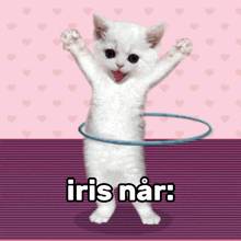 iris n%C3%A5r iris