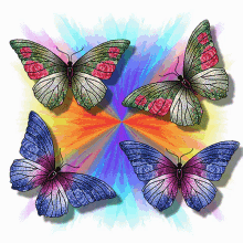 Butterflies Butterfly GIF - Butterflies Butterfly Colorful GIFs