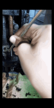 Cleaning Sustaining GIF