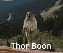 Thor Boon GIF - Thor Boon GIFs