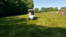 Golfcart Golfing GIF