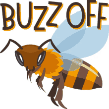 buzz spring