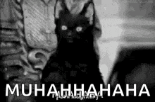 Hahaha Evil Laugh GIF - Hahaha Evil Laugh Black Cat GIFs