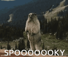 Spooky Where Are You GIF - Spooky Where Are You Beaver GIFs