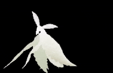 a couple of white rabbits standing next to each other on a black background .