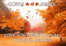 Autumn Leaves GIF - Autumn Leaves Maple Trees GIFs