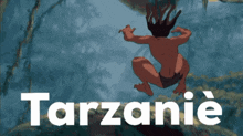 Tarzaniè Tarzanié GIF - Tarzaniè Tarzanié GIFs