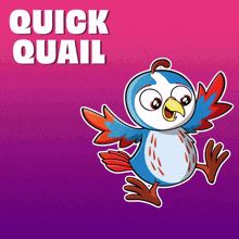 a cartoon of a bird with the words quick quail behind it